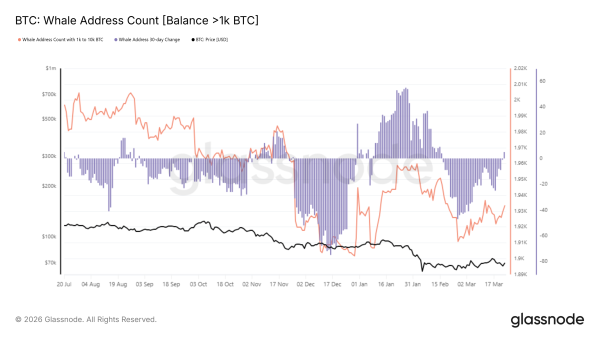 Bitcoin Gambler Faces $46 Million Liquidation, But Price Could Turn Before It Happens0