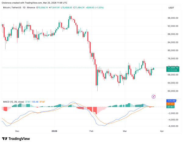 Bitcoin Preparing For Liftoff Or Another Drop? Key Levels To Decide1