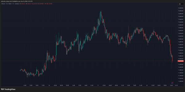 Bitcoin Stalls Near $75K As Traders Move Coins To Exchanges1