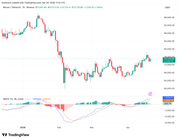 Bitcoin Rebounds Strongly — Can Bulls Drive Price Toward $79,0001