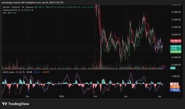 Is Bitcoin price forming a bear flag at $66,900 as its daily MACD reaches its deepest negative reading in months?0