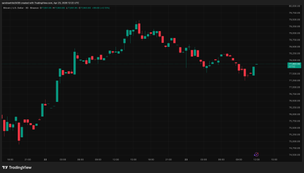 The Bitcoin Cycle Is Different: Crypto Expert Reveals When Price Will Cross $100,000 Again0