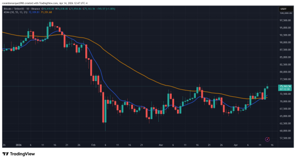 Bitcoin Price Breaks Higher: What The Market Data Says Could Happen Next0