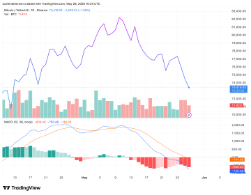 Bitcoin Bearish Flag Goes Up As Expert Analyst Predicts A Massive Crash To ,000
