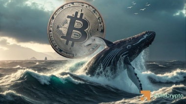 Bitcoin whales scoop 4,527 BTC in 24 hours – Will .9K be next?