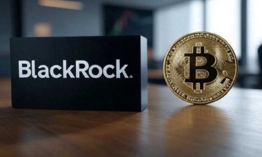 BlackRock’s Spot Bitcoin ETF Reaches Historic Milestone! What Does It Mean?