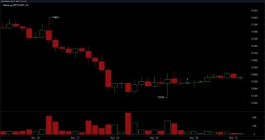 Youtuber Warns Bitcoin Bottom Is Not In as Stablecoin Dominance Hits Risk-off Level