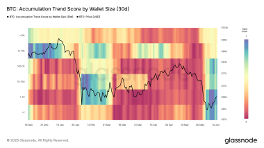 Bitcoin buyers add over 250,000 BTC between ,000 and ,000 as accumulation returns