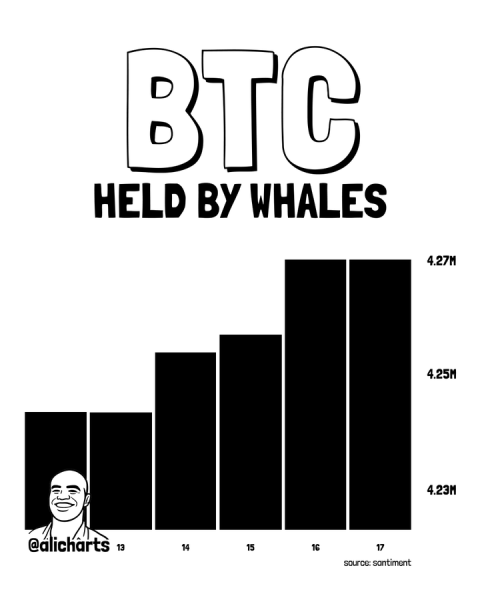 Bitcoin price prediction as whales scoop 30,000 BTC in a week