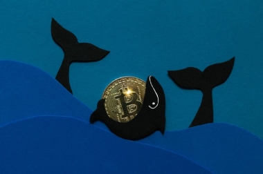 Bitcoin Whale Wallets See Major Rebound