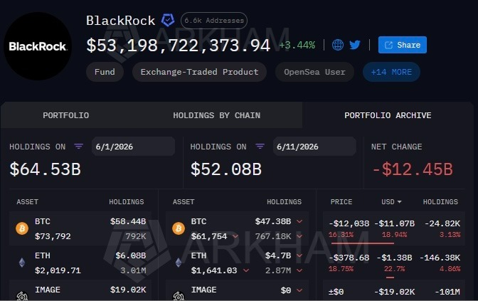 BlackRock crypto portfolio falls by over  billion in early June
