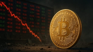Onchain Data Shows First Bottom Signal in Bitcoin! But Is the Bear Market Completely Over? Analyst Answers!