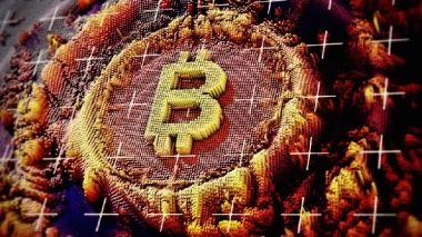 Why diehard bitcoin purists aren’t sweating the massive price crash that wiped out 0 billion