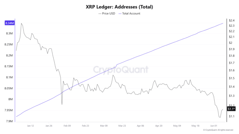 XRP Ledger (XRPL) addresses hit a new all-time high