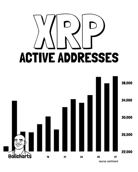 XRP price prediction after active addresses spike over 70% in 2 weeks