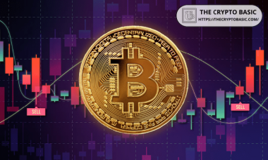 Bitcoin Bottom Signal Yet to Flash, Big Price Crash Still Ahead, On-Chain Data Shows