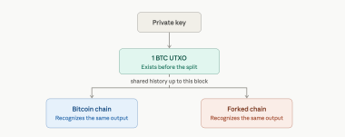 Bitcoin Chain Splits Explained: Why Every BTC Holder Gets a New 1:1 Asset