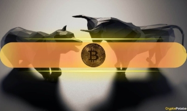 Bitcoin Nears Final Stage of Bear Market Window – Is a Broader Recovery in Sight?
