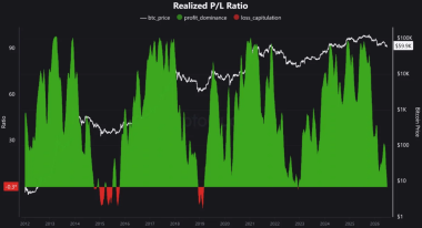 Bitcoin P&L ratio falls to 43-month low