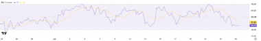 Bitcoin Price Tests Channel Support as Momentum Cools
