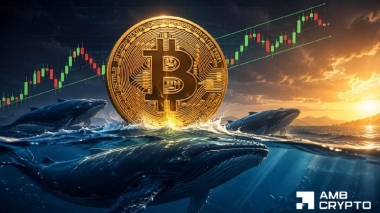 Bitcoin supply tightens after 8M whale withdrawal – Can BTC reach K?
