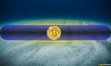 Has Bitcoin Already Bottomed? Grayscale Says Macro Signals Matter More
