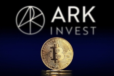 Market Expert ARK Invest Released a Detailed Report on Bitcoin: Have We Hit Bottom, or Are We Yet to See It?