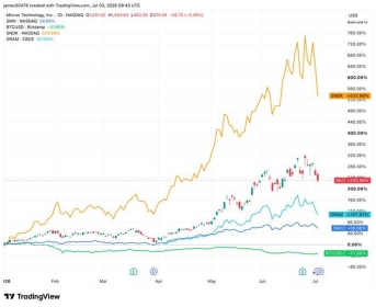 Memory and semiconductor stocks lose momentum, bitcoin rebounds in sign of changing investor focus