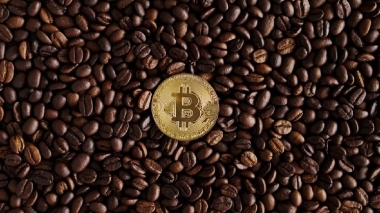 Vanadi Coffee's Bitcoin Pivot Soured by Exorbitant Board Fees and Shareholder Revolt