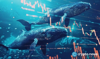 Whales bought .7B of Bitcoin while Wall Street ran for the exit