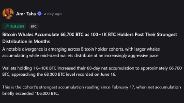Whales vs. Mid-Tier Holders: The Dramatic Shift in Bitcoin Ownership Splitting the Market