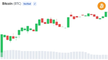 Arthur Hayes Warns Bitcoin May Fall to ,000 Before  Million