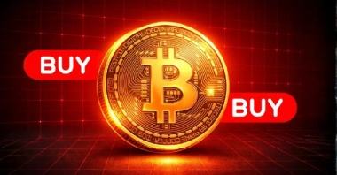 Bitcoin Price Holds K as Whales Accumulate — Is 0K the Next Target?