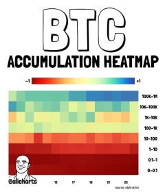 Bitcoin Price Holds K as Whales Accumulate — Is 0K the Next Target?