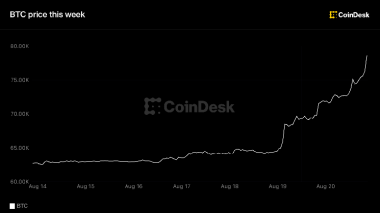 Bitcoin tops ,000 as best week since 2023 pulls altcoins along for the ride