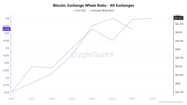Bitcoin whales accumulate for 5 days – Can BTC escape THIS channel?