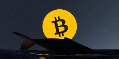 BTCs of a Bitcoin Whale That Has Been Dormant for 15 Years Have Started Moving