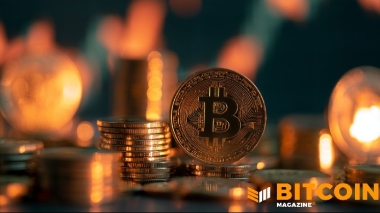 Investors Cash Out Fast of Bitcoin ETFs but Price Remains Stable