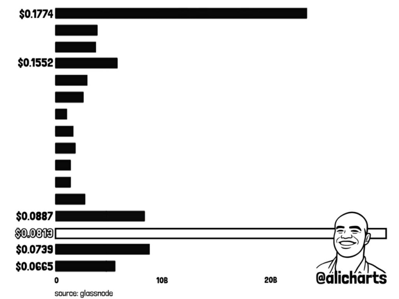 Analyst sets Dogecoin price target as whales accumulate 240 million DOGE in a week