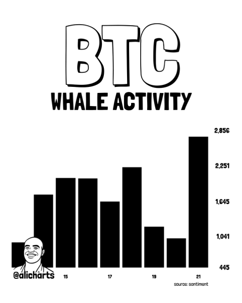 Bitcoin just flashed signal that triggered major bull markets
