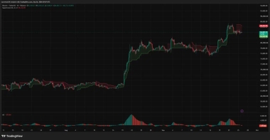 Bitcoin price faces ,000 resistance as oscillator turns negative