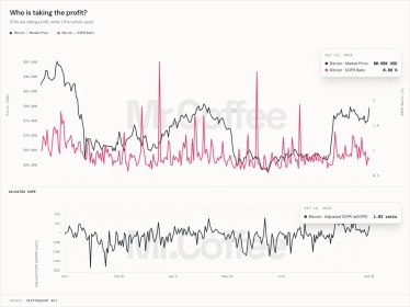 Bitcoin Price Rebound Shows Short-Term Holders Taking Profit