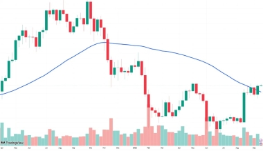 Bitcoin reclaims 50-week moving average: Is the bear market over?