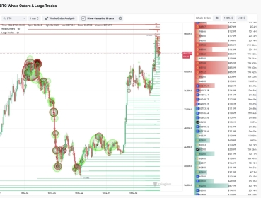 Bitcoin Supply Shock: 81% of BTC Has Not Moved in Six Months