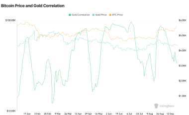 Institutions See Bitcoin Like Gold but Invest in It Like Tech: Bitwise