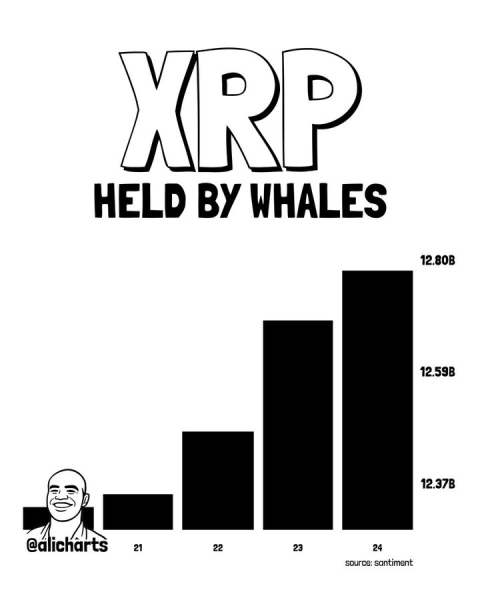 Ripple set to dump massive .5 billion XRP next week