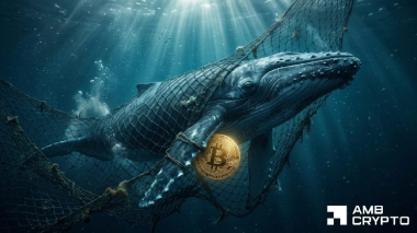 0M Bitcoin hits exchanges in 24 hours – But a 3M whale buy absorbs the pressure