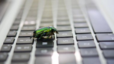 AI found a way to crash bitcoin nodes on Windows and Macs. It's now public