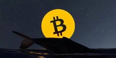 Crypto Analyst Ali Martinez Explains Whales Could Be Influential in Bitcoin, XRP, and ADA Rises!