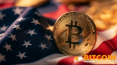 US Hoovers up Bitcoin While the World Runs on Its Digital Dollars: Report
